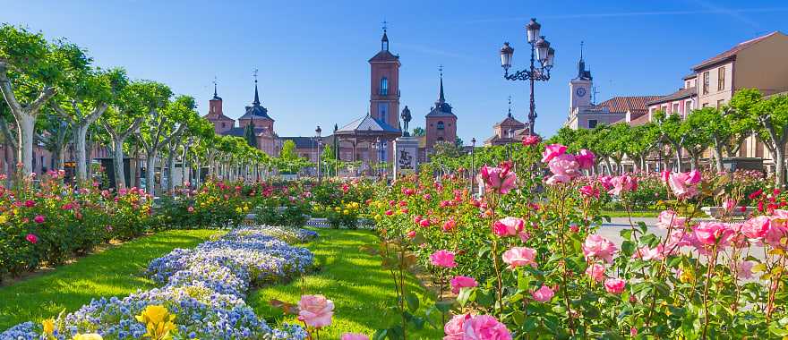 Plaza de Cervantes in Alcala de Henares.