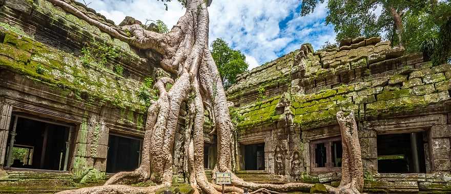 Ta Prohm temple in Krong Siem Reap, Cambodia