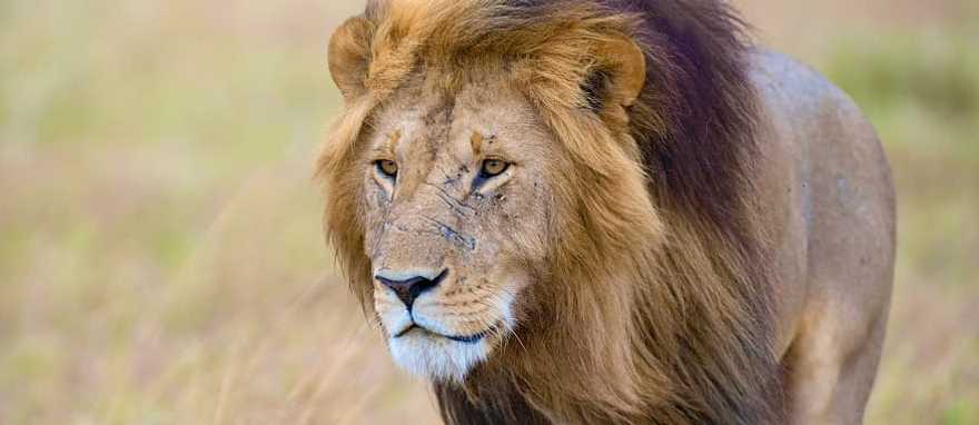 Adrenaline & Adventure Tour of South Africa Adrenaline & Adventure Tour of South Africa