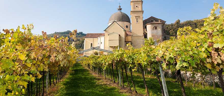 Famous Valpolicella Verona, Italy