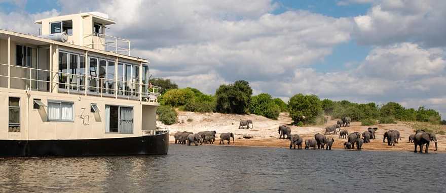 Chobe Princesses by Mantis. Photo courtesy of The Zambezi Queen Collection Cruising the Chobe river in Botswana aboard the Chobe Princesses by Mantis