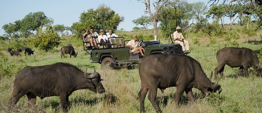 Safari for seniors in Kruger National Park, South Africa