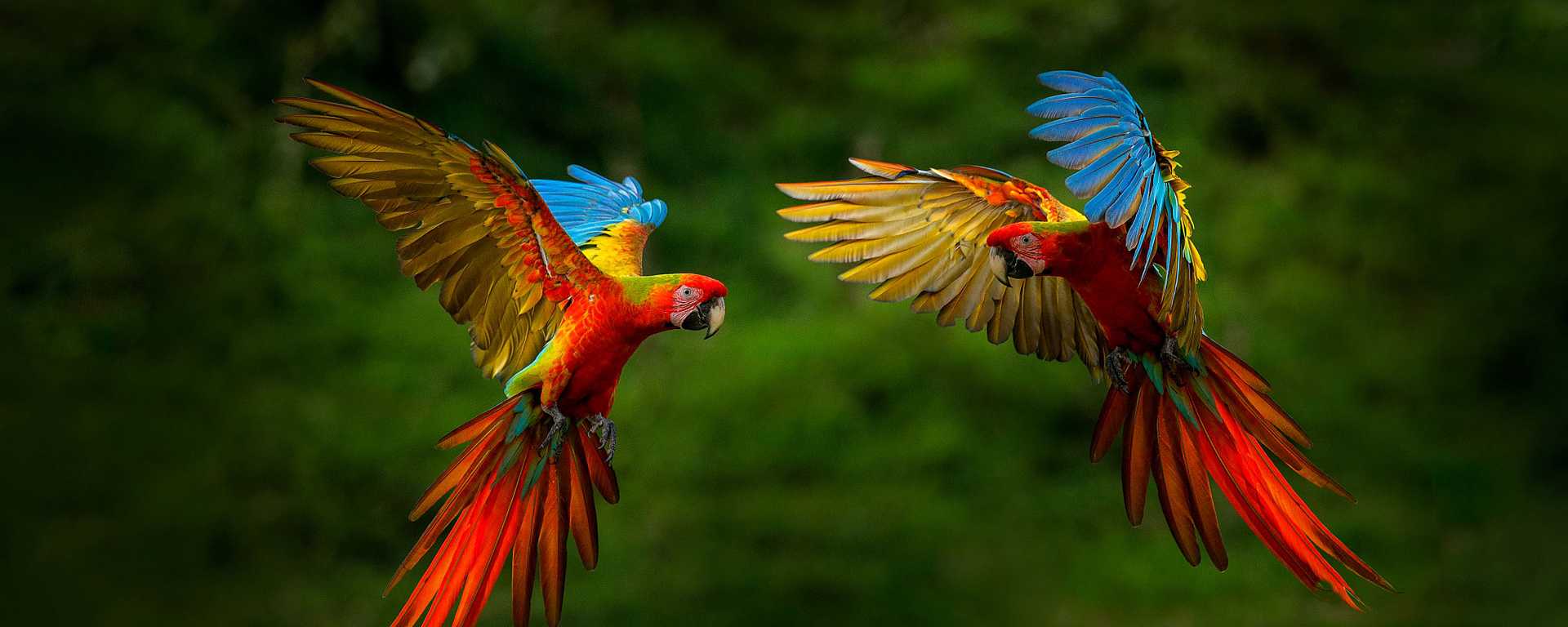 Travel - Wildlife Tours and Nature Trips