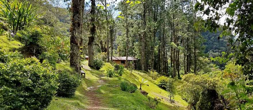 Lost waterfalls trail in Boquete, Panama