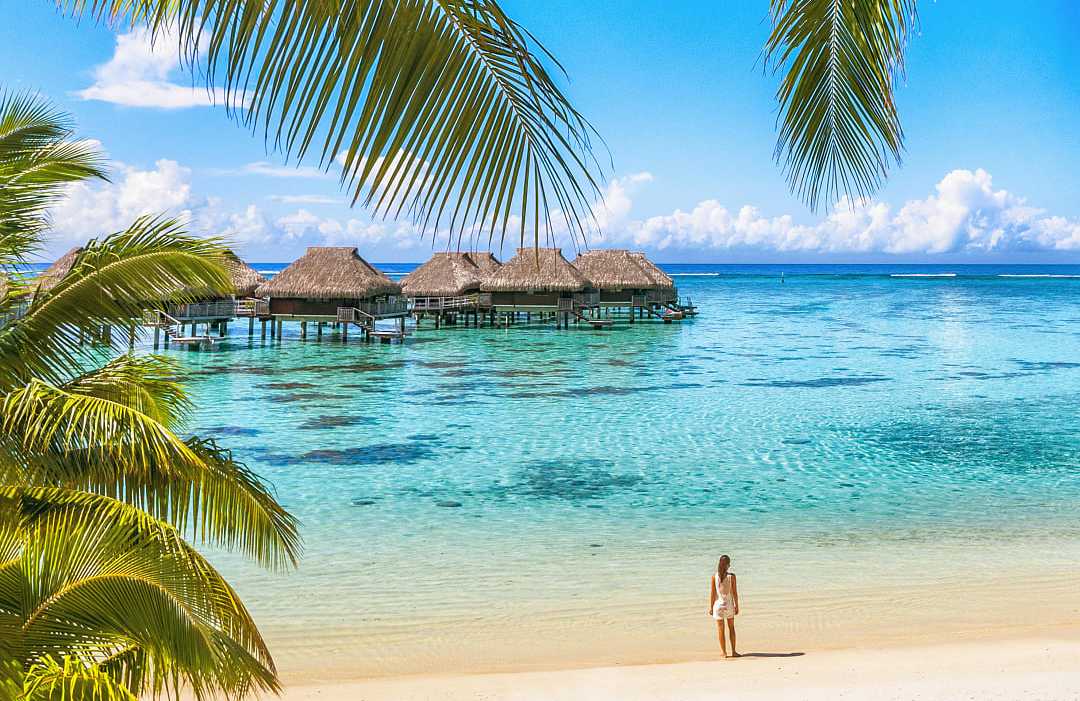 Woman standing on the beach looking over clear water in Moorea, French Polynesai