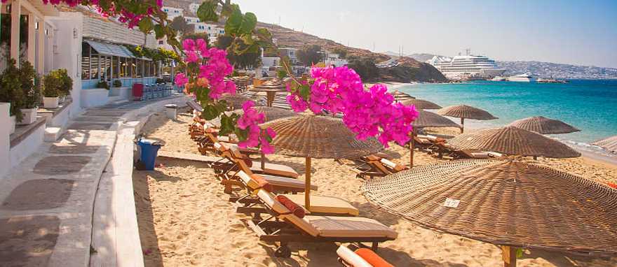 Pink bougainvillea blooming on the beach of Mykonos, Greece Pink bougainvillea blooming on the beach of Mykonos, Greece