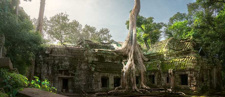 Sunrise over Ta Prohm at Angkor Wat in Siem Reap, Cambodia