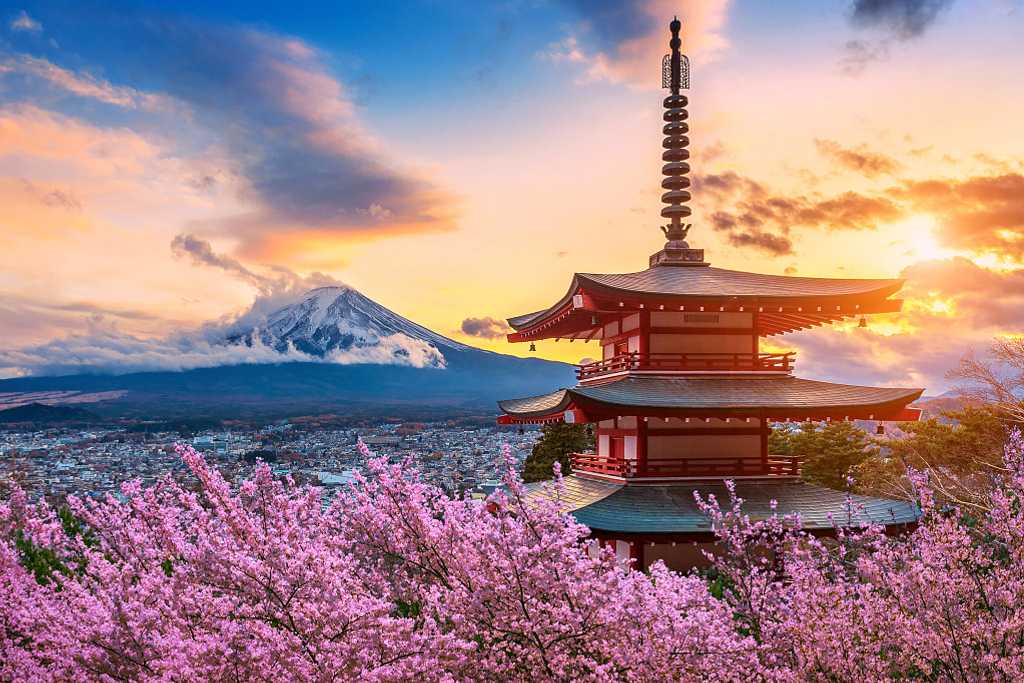 Fuji mountain and Chureito Pagoda with cherry blossoms at sunset, Japan