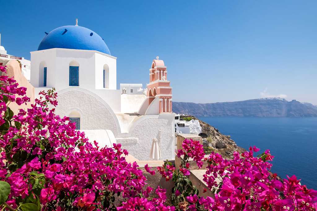 Scenic view of traditional cycladic houses with flowers in foreground in Oia village, Santorini, Greece.
