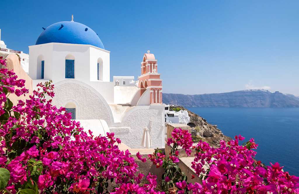 Oia village on Santorini, Greece Scenic view of traditional cycladic houses with flowers in foreground in Oia village, Santorini, Greece.