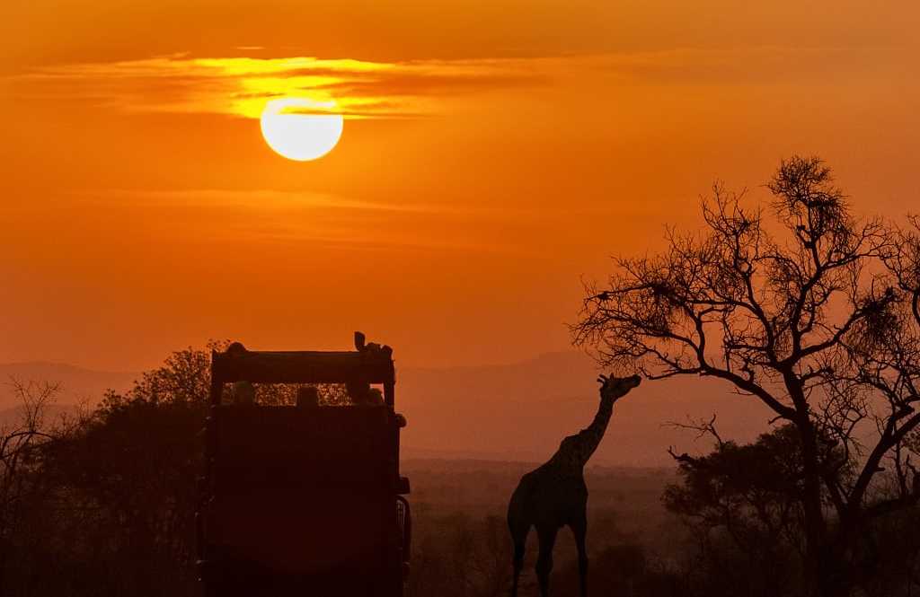 Safari vehicle at sunset in South Africa Safari vehicle at sunset in South Africa