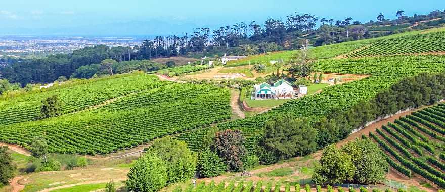 Wineland countryside in South Africa