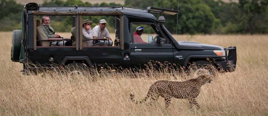 Safari in Masai Mara, Kenya