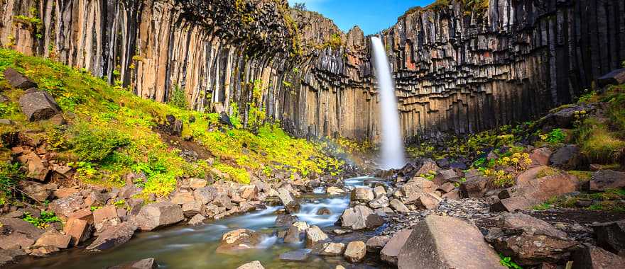 Beautiful Svartifoss waterfall with basalt columns on South Iceland