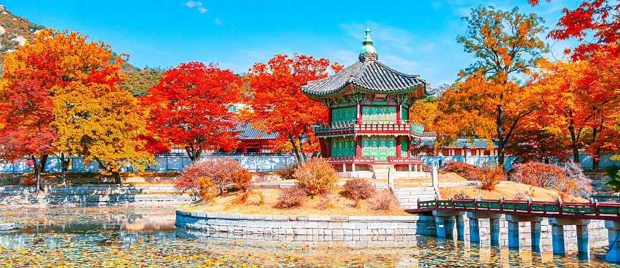 Autumn at Gyeongbokgung Palace in South Korea,
