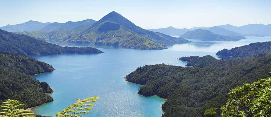 Aerial view of Malborough Sounds in New Zealand