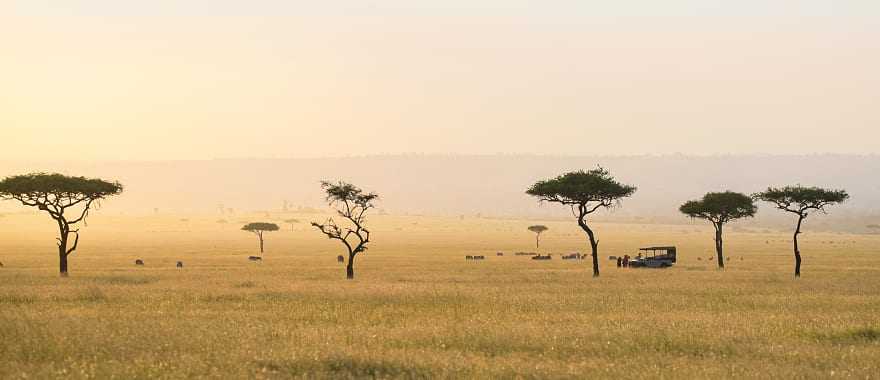Game drive on the sweeping savanna with acacia trees in the Serengeti