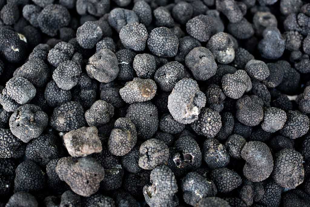 Black truffles