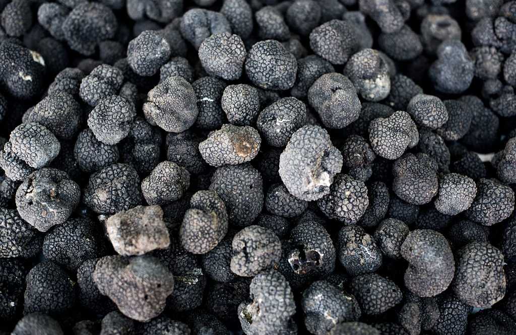 Black truffles