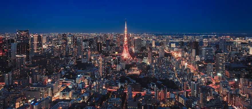 Tokyo skyline at night