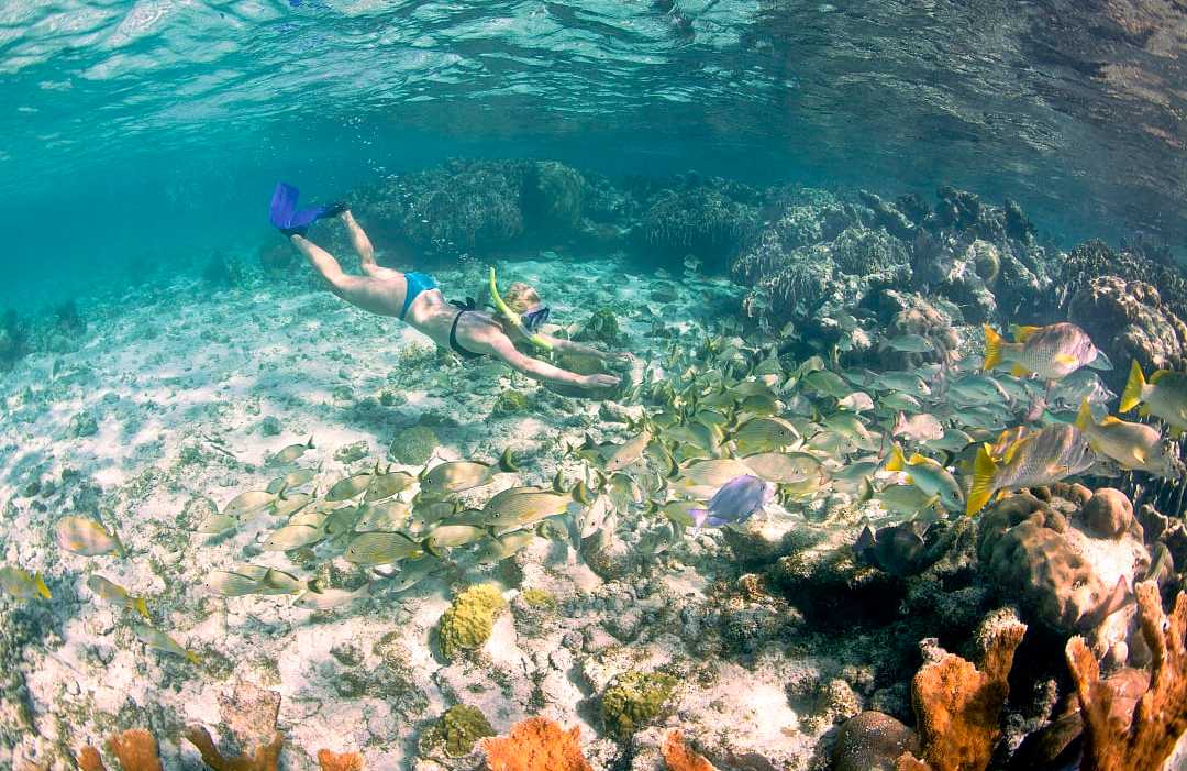 Snorkeling in Belize