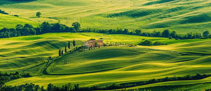 Rolling hills in the Tuscan countryside