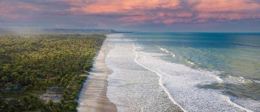 Deserted beach with coconut trees in Ilhéus on the coast of Bahia Brazil