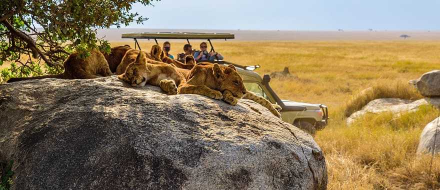 Serengeti and Selous Safaris: Contrasts of Tanzania’s Diverse Wildlife