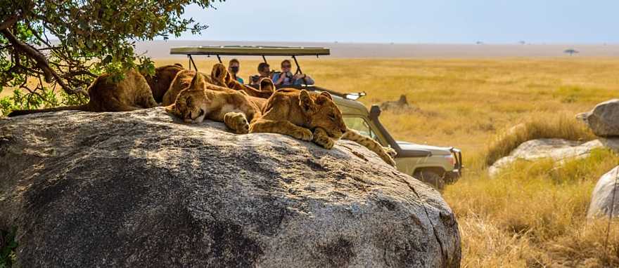 Serengeti and Selous Safaris: Contrasts of Tanzania’s Diverse Wildlife Serengeti and Selous Safaris: Contrasts of Tanzania’s Diverse Wildlife