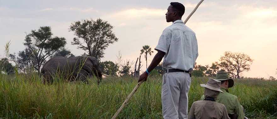 Mokoro boat safari with elephant on riverbank at Sanctuary Baines Camp in Botswana