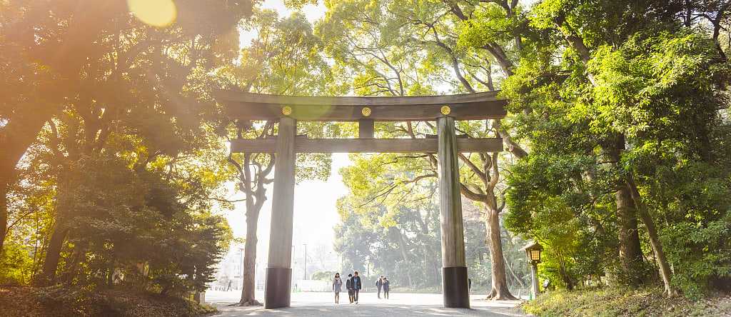 Torii gate entrance to Meiji Shrine surrounded by forest in Tokyo, Japan.  Caption: