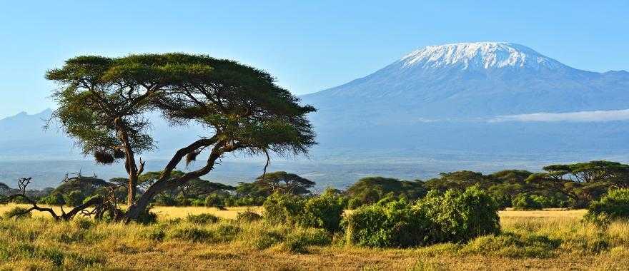 View of Mount of Kilimanjaro 