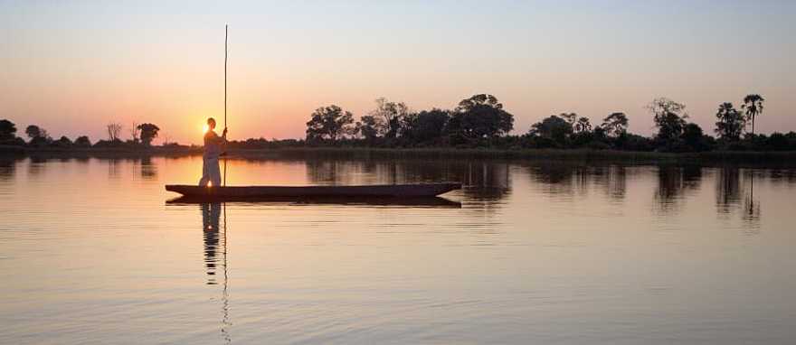 Cheetahs in Kruger National Park, South Africa Cheetahs in Kruger National Park, South Africa