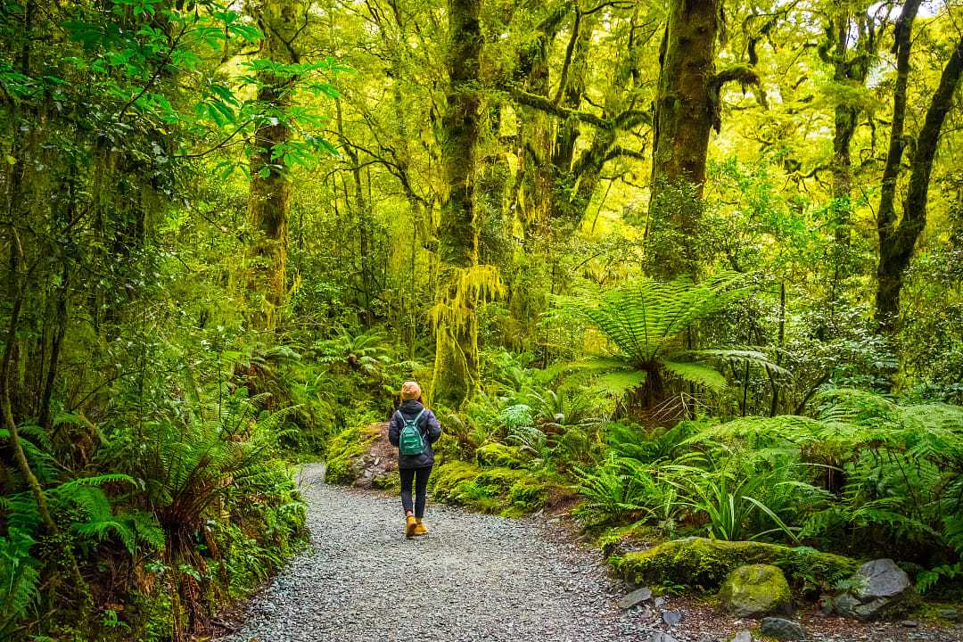 Hiking in Fiordland National Park, New Zealand