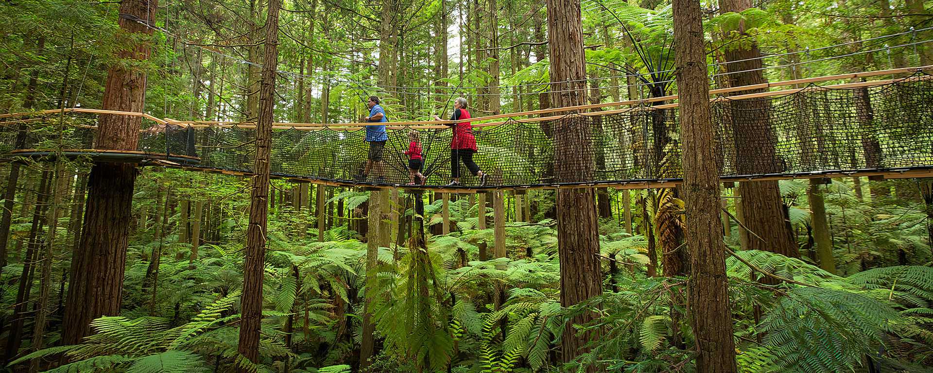 Family at the Redwoods Treewalk in Rotorua, New Zealand