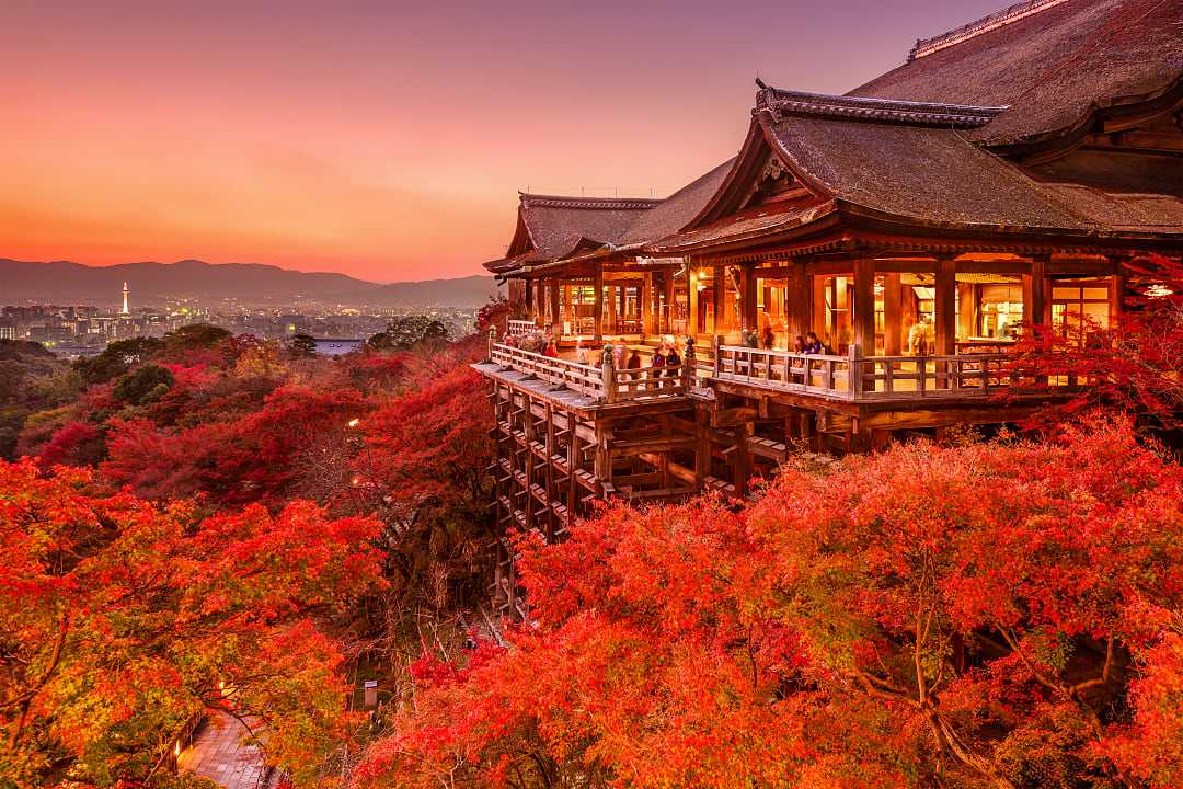 Vibrant red autumn foliage at Kiyomizu-dera Temple in Kyoto, Japan