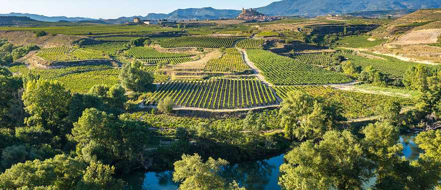 View of the vineyards and the village of San Vicente de la Sonsierra, Rioja, Spain