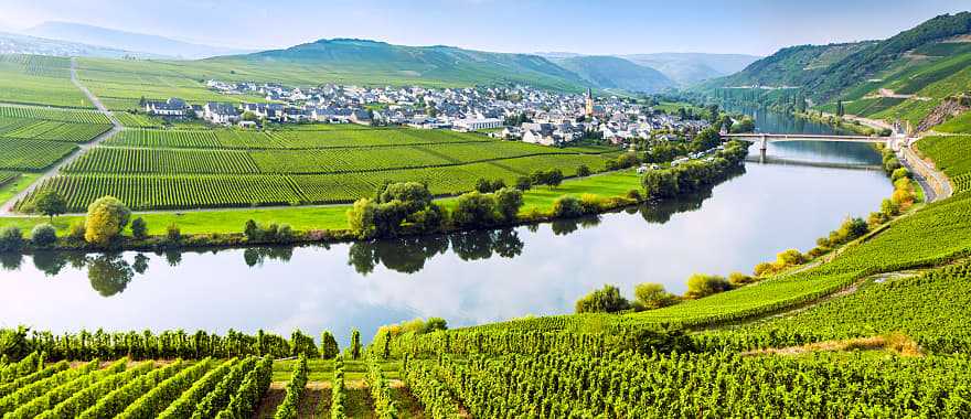 Vineyards along Moselle River in Germany