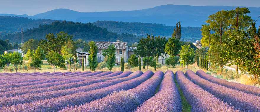 Spend two days enjoying the leisurely pace and undeniable beauty of life in Provence, France