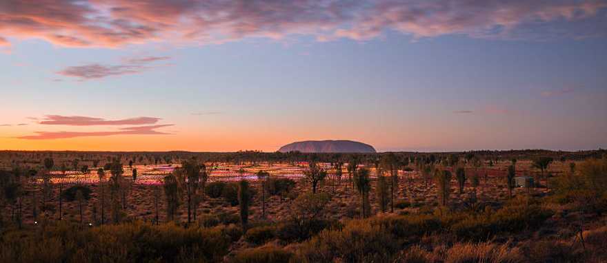 Field of Lights at Uluru. Photo courtesy of Tourism Australia Field of Lights at Uluru