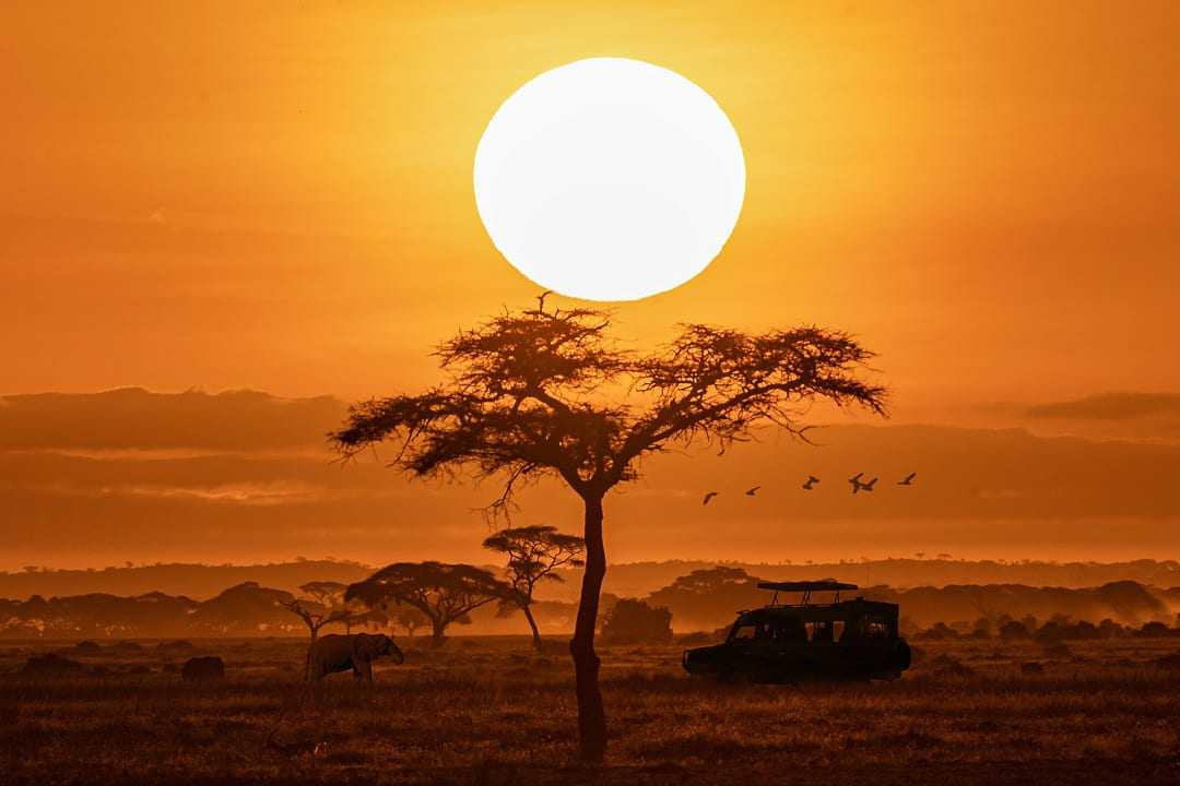 Orange sunset with silhouette of safari vehicle, trees and elephants