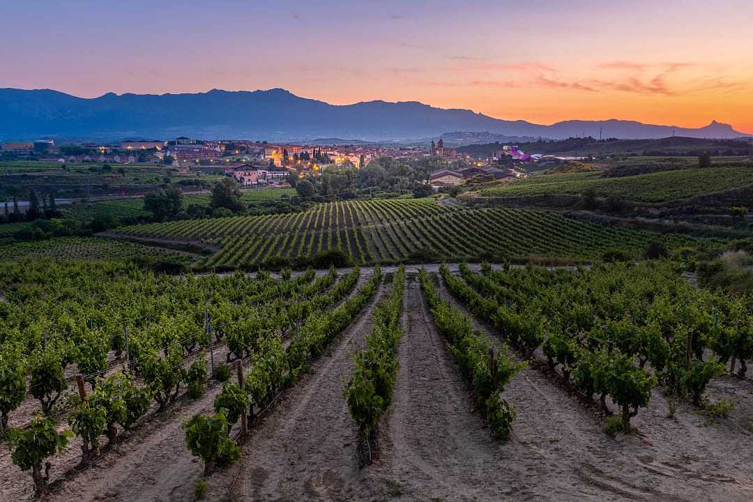 Vineyards and town of Elciego at sunrise in Basque, Spain