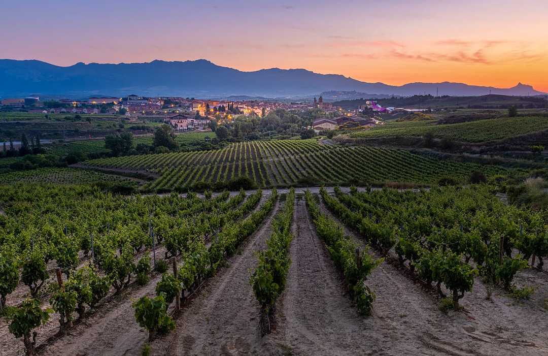 Vineyards and town of Elciego at sunrise in Basque, Spain