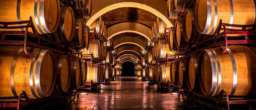 Wine cellar at a vineyard in Spain 