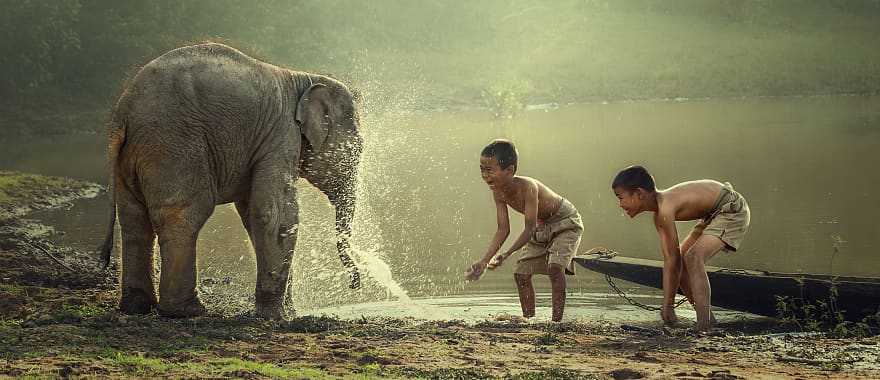 Local kids playing with baby elephant in Laos.