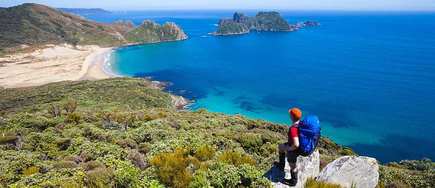 Great Walk in Rakiura National Park on Stewart Island, New Zealand