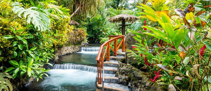 Enjoy rejuvenating thermal springs on this perfect Costa Rica trip.