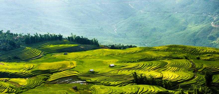 Rice fields terraces in Sapa, Vietnam.