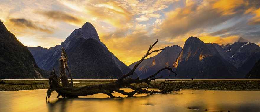 Milford Sound at sunset in New Zealand