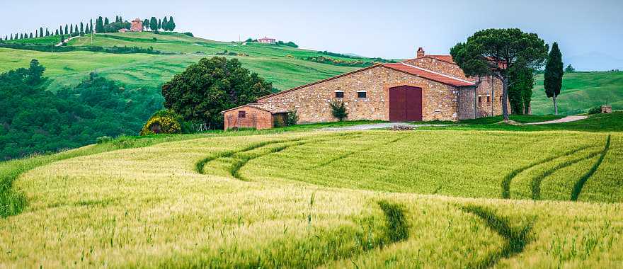 Tuscany countryside with green grain fields and rustic farmhouse
